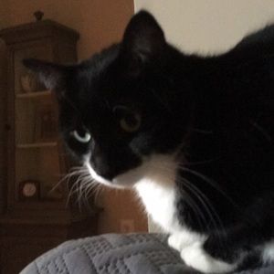 Meet your Posher, Jaime